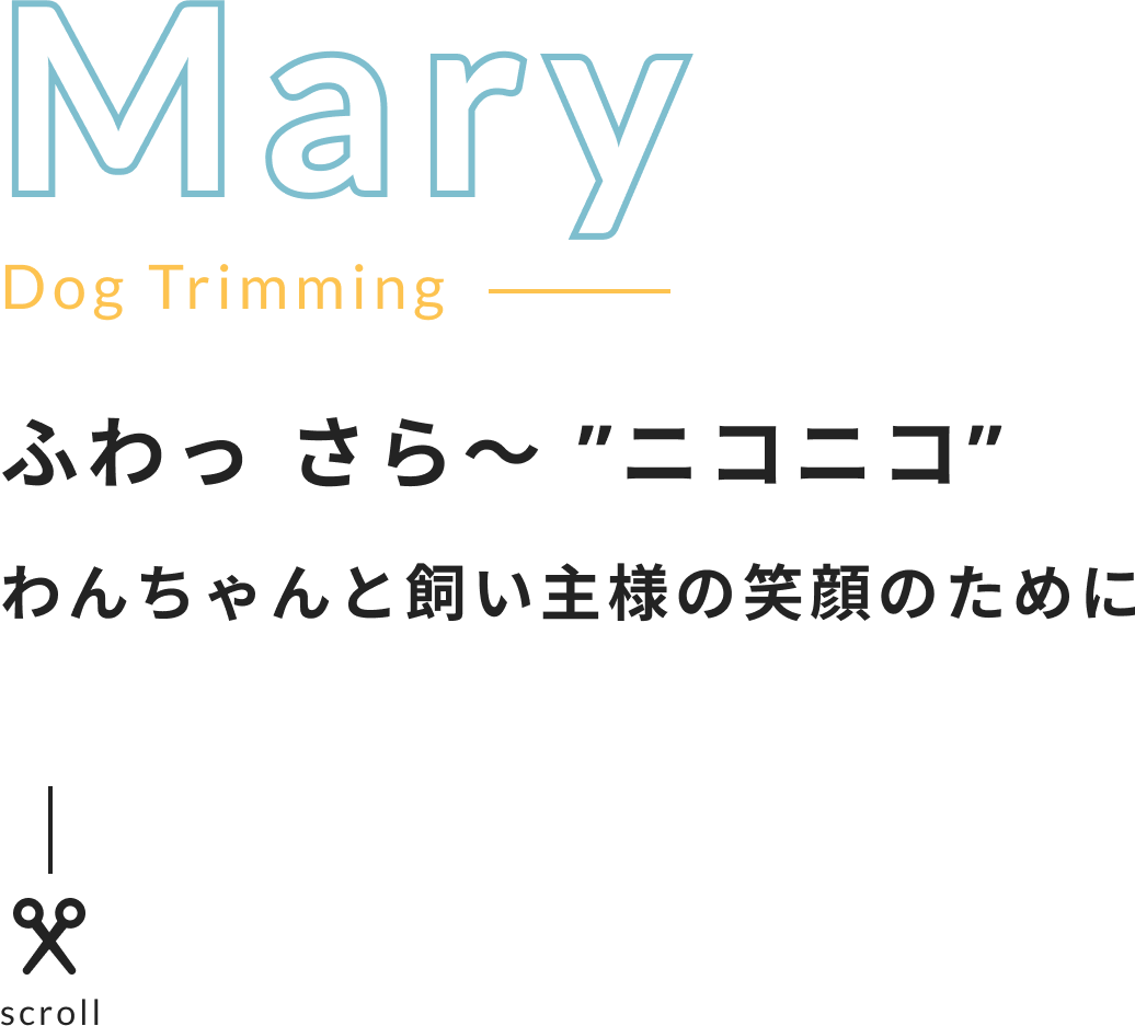 Mary Dog Trimming